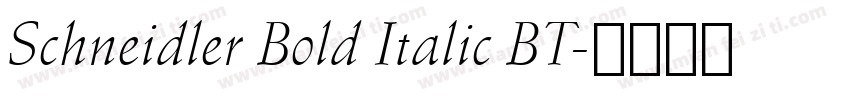 Schneidler Bold Italic BT字体转换
